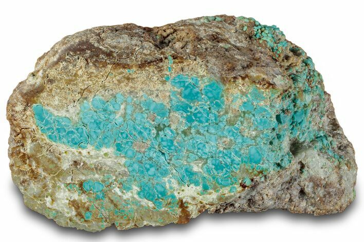Polished Turquoise Section - Number Mine, Carlin, NV #292309